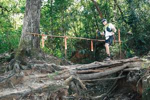 BIB: 
                            <button type="button" onclick="openModal(27744210)" class="btn btn-primary btn-sm float-right btn-popup" data-toggle="modal" data-target=".modal-high-quality">
                        <i class="fas fa-shopping-cart"></i> Add to Cart
                    </button>
                                            <button type="button" onclick="isThisMe(27744210, true)" class="btn btn-success btn-sm float-right btn-popup btn-isme hidden" data-toggle="tooltip" data-placement="bottom" title="นี่คือรูปของคุณใช่ไหม คลิกที่นี่เพื่อเอาเข้าอัลบั้ม">
                        <i class="fas fa-plus"></i> Add to album
                    </button>
                    <button type="button" onclick="isThisMe(27744210, false)" class="btn btn-warning btn-sm float-right btn-popup btn-isnotme hidden">
                        <i class="fas fa-ban"></i> Remove from album
                    </button>